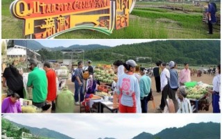 千易商贸合作社，助力乡村振兴的创新实践